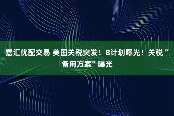 嘉汇优配交易 美国关税突发！B计划曝光！关税“备用方案”曝光